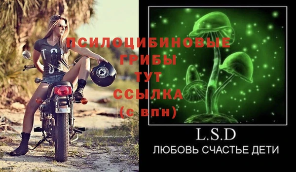шишки Арсеньев