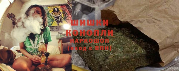 шишки Арсеньев