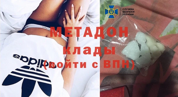 шишки Арсеньев