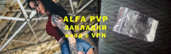шишки Арсеньев
